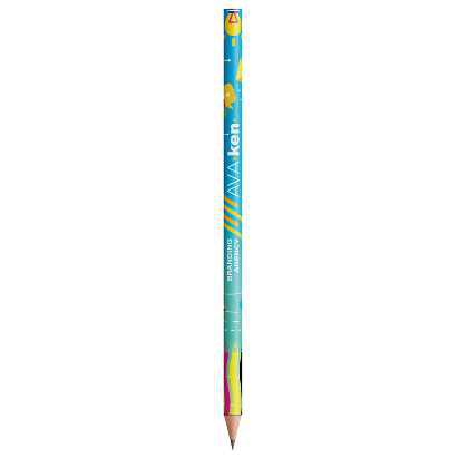 BIC Evolution Ecolutions Digital pencil