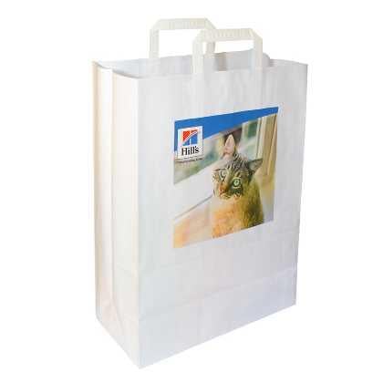 Flat tape or twisted handle paper bag - DIGITAL PRINT