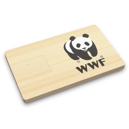 Bamboo memory stick