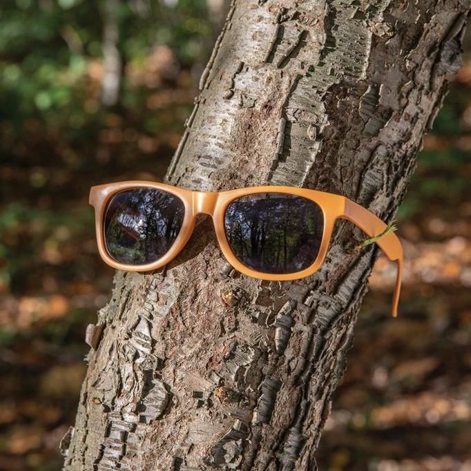 Sunglasses on a tree